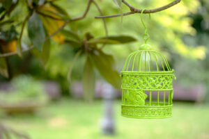 green bird cage